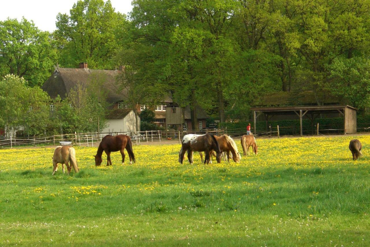 Ferienwohnungen Wulfshof Schneverdingen Zewnętrze zdjęcie